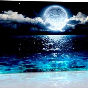 Moon and ocean painting!